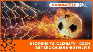 Kèo Rung Tại CakhiaTV - Cách Bắt Kèo Chuẩn Khi Xem Live