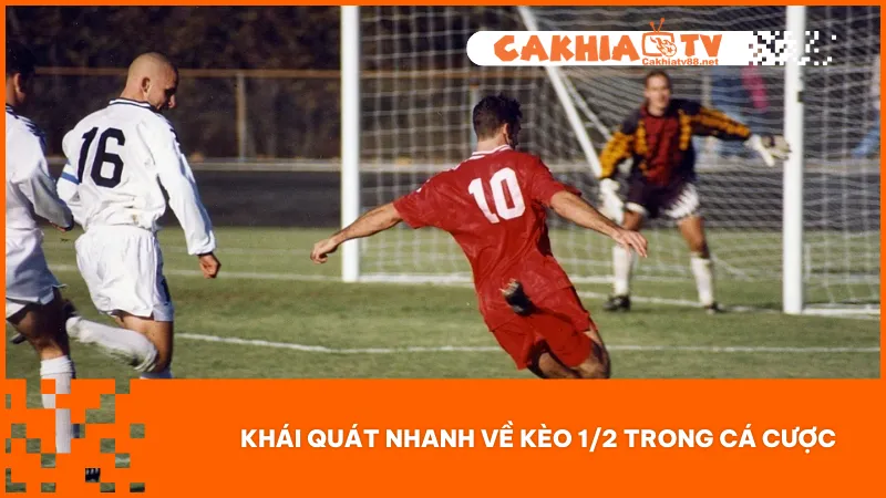 Cách Đặt Kèo 1/2 Chuẩn Không Cần Dò Dữ Liệu Phức Tạp 1 Cách hoạt động của kèo 1/2 chỉ có hai kết quả rõ ràng thắng hoặc thua không có hòa