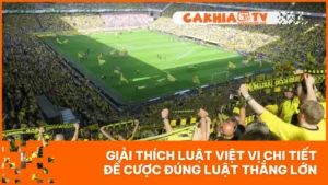 Giải Thích Luật Việt Vị Chi Tiết Để Cược Đúng Luật Thắng Lớn